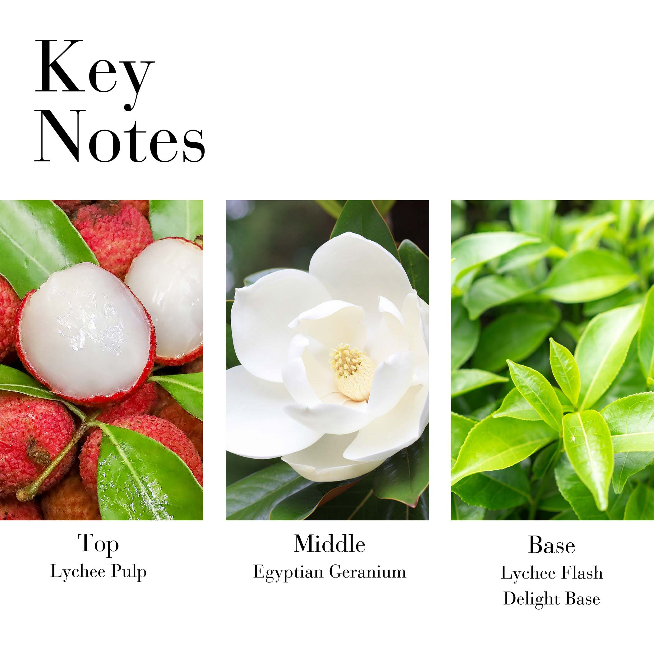 Green Tea Lychee Lime Fragrance Spray - Image 4