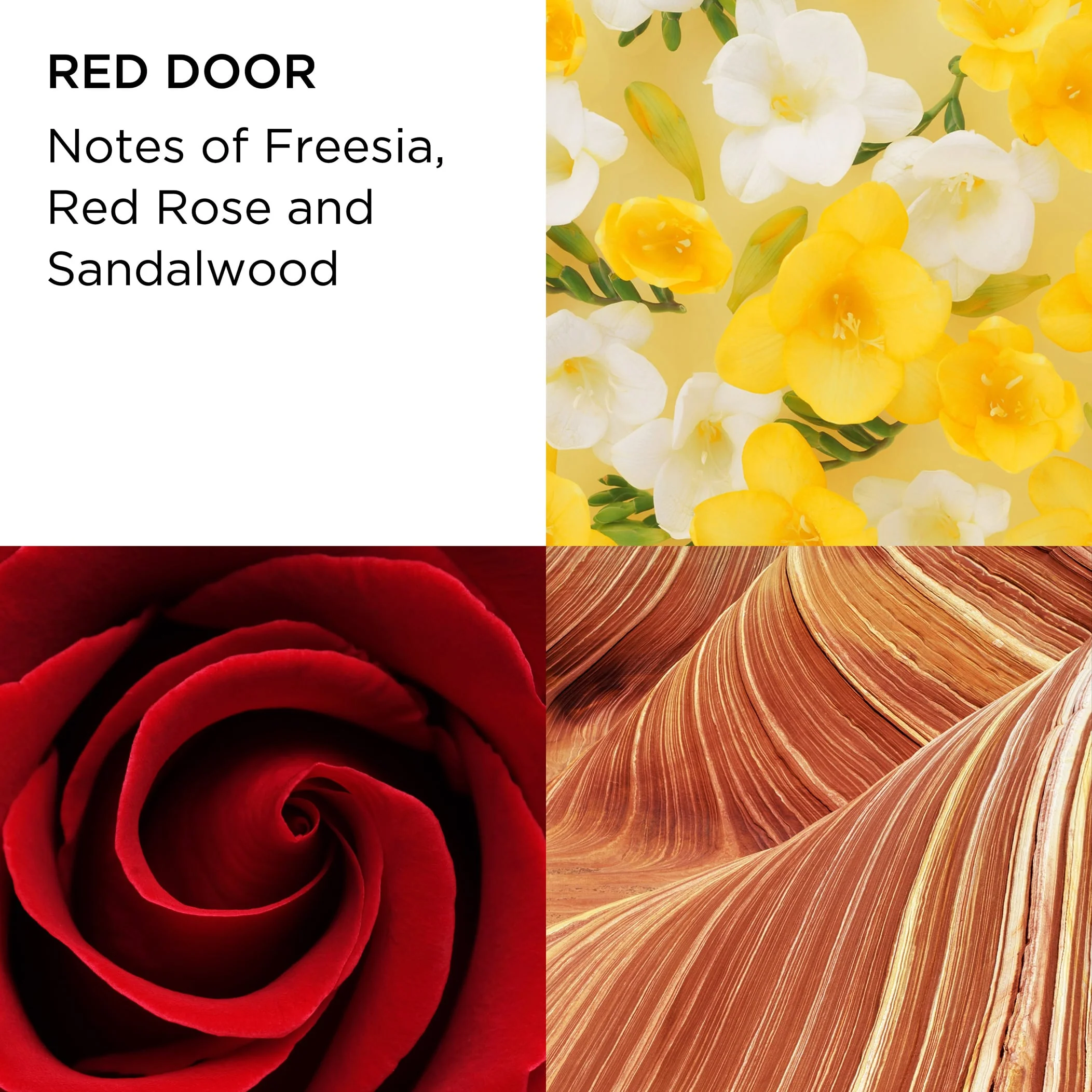 Red Door Eau de Toilette 3.3oz 3-Piece Set - Image 6